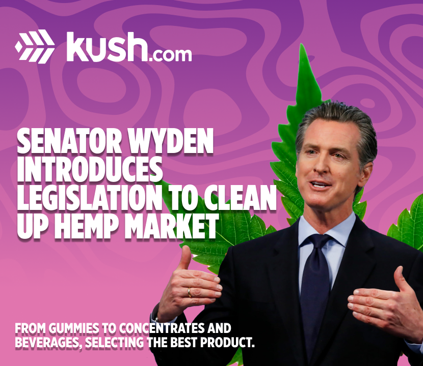 What Senator Ron Wyden’s New Hemp Legislation Means for Consumers and Retailers| Kush.com